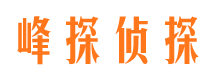 嘉定市婚外情调查